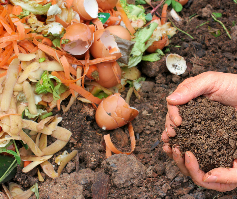 Top tips on starting a compost heap at home - Zero Waste Leeds